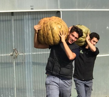 A EPADRPL preparou-se para receber o Halloween