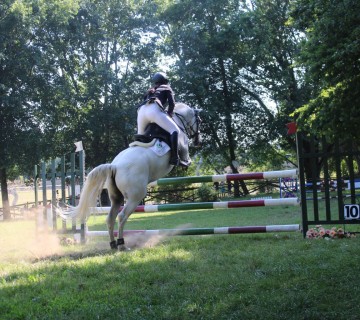 5.ª Classificativa da Sabino Saddle em conjunto com o Concurso de Saltos Nacional B