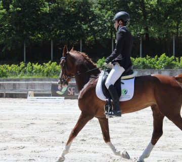 Participação do Curso Profissional TGE no Concurso Dressage Regional