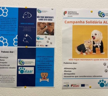 Início da Campanha para a ALAAR - Participa!