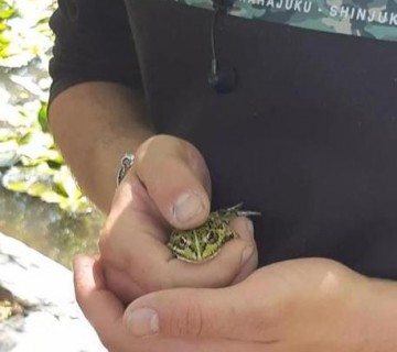 Programa Eco-Escolas – “Biodiversidade na minha Escola”
