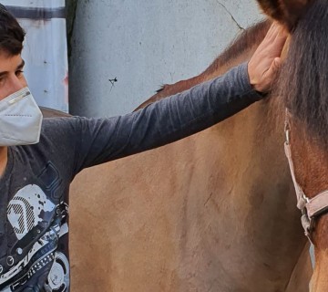 Aula de equitação terapêutica pelo 3.º C
