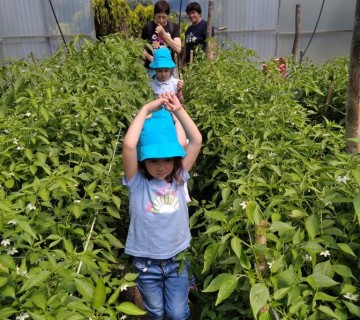 Visita à Escola Agrícola de Ponte de Lima pelas crianças do Centro Educativo da Facha
