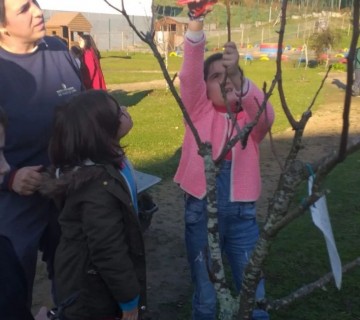 Parceria do 2.º J do CEF Tipo 2 - Operador de jardinagem com o Centro Educativo da Facha - 5 de janeiro 2023