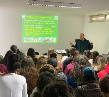 Workshop sobre a funcionalidade do Cavalo Lusitano em Dressage - 20 de janeiro de 2023