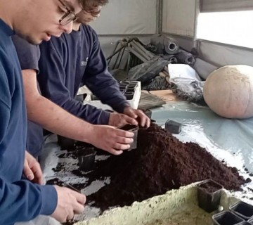 Estufas da EPADRPL florescem com a tradição e promovem a solidariedade - 23 de junho de 2023