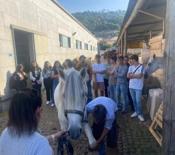 Visita em contexto de aula da turma 1.º C à VIANAEQUESTRE – 11 de outubro de 2023