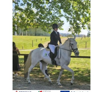 Competição Dressage Regional em Ponte de Lima - 13 e 14 de abril de 2024