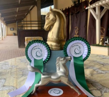 Participação na Competição Dressage Regional e na Final do Campeonato Regional Dressage Norte - 28 e 29 de outubro de 2023