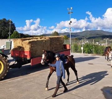 Mudança de instalações da prática equestre do Curso Profissional Técnico de Gestão Equina para a Expolima – 23 de outubro de 2023