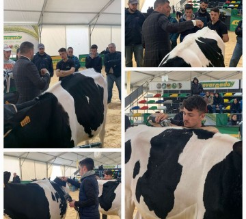 20.º Concurso Regional da Raça Holstein Frísia da Trofa – 29 de fevereiro a 3 de março de 2024
