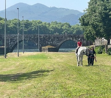 Alunos do Curso de Gestão Equina participam na IV EcoFesta da Família e da Natureza - 31 de maio de 2025